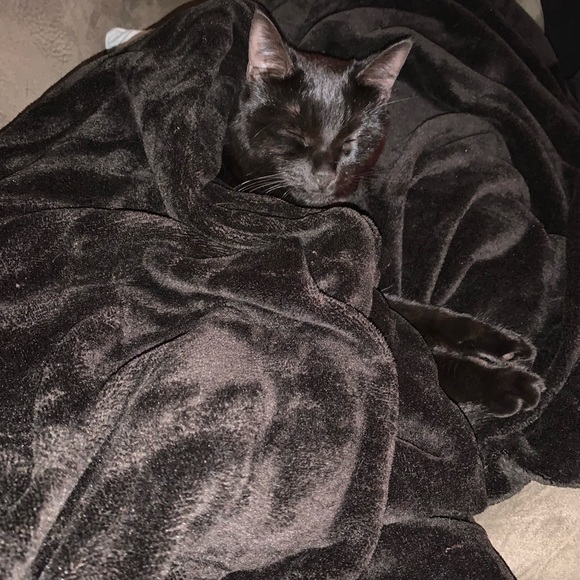 Meet your Posher, Alex - Picture 7 of 8